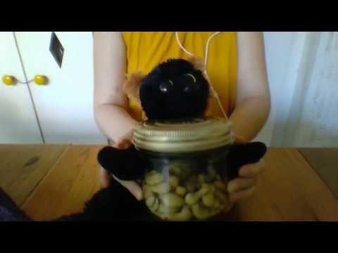 ASMR français Dodo fait de l'ASMR pour vous !