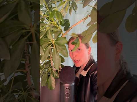 Mitä ostin ja sain ASMR #asmrfinnish #asmrsuomi