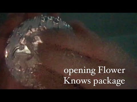 (asmr) showing you my flower knows (unedited) (lofi)