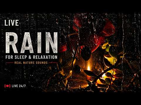 LIVE Heavy Rain for Sleep 🌧️ | Relaxing Night Rain Sounds for Deep Sleep & Relaxation