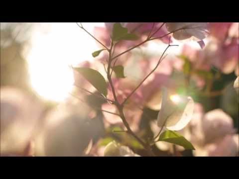 Sunshine & Flowers - Layered ★ Unintelligible & Inaudible Whispers ★ [ASMR]