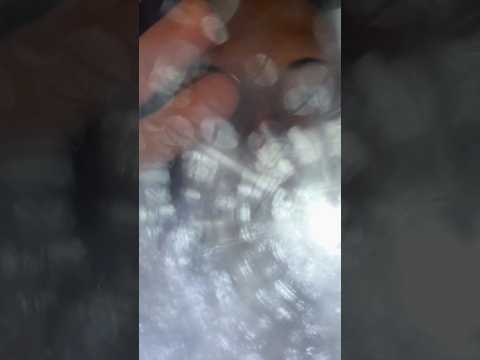 Pov: sei Harry Potter intrappolato nella ragnatela 🕸️ #asmr #asmrvideo #shorts #harrypotter