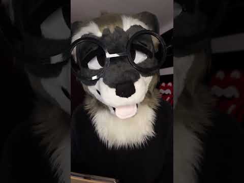 quick questions #asmr #asmrsleep #shorts #furry #furryasmr #sleepaid