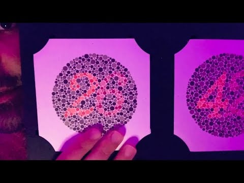 ASMR: Understanding the Ishihara Colour Vision Test
