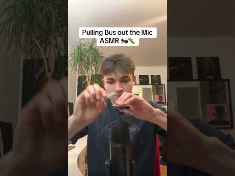 Pulling all bugs out the mic (ASMR)