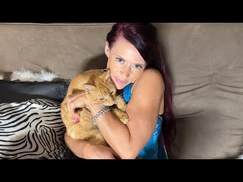 Relaxing Cat Therapy for Stress Relief | Soothing ASMR