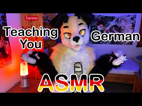 [Furry ASMR] Teaching You German x3