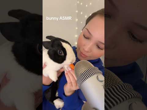 my little bubbie!!! #asmr #bunny #mukbang #rabbit #fyp