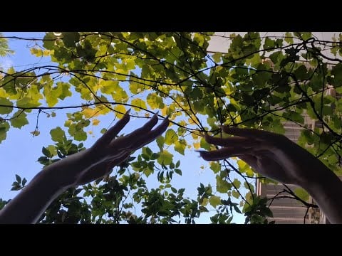 ASMR tapping na câmera, sons de boca, sons de folhas e conversas (caseirinho)