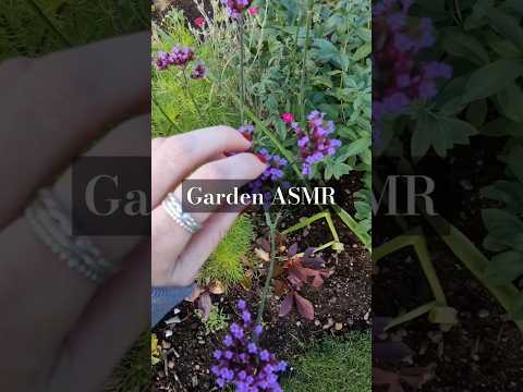 Garden ASMR #asmrnotalking #tappingtriggers #asmrsounds #natureasmr