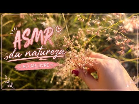     Um Pedacinho da Natureza para Você 🌿💗 | ASMR Sons da Natureza #asmr #asmrsounds #asmrnature 