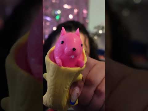 ASMR Banho de esquilo
