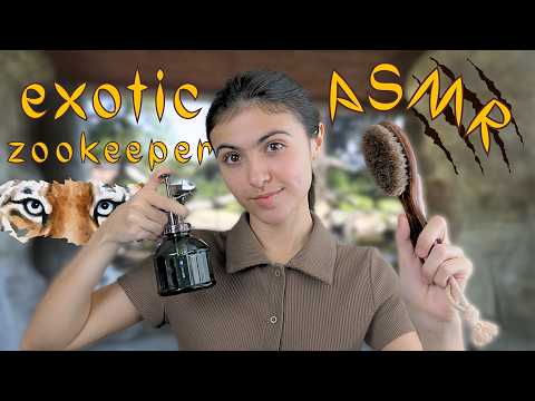 Exotic Zookeeper Takes Care of YOU🐅 *RAWR* asmr