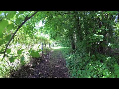 ASMR Hiking Binaural Soggy Serene Farm Hike