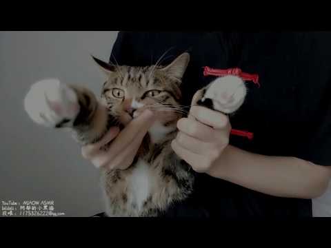 敲耳朵，抚摸，碰触 tapping ，Touch       MIAOW ASMR