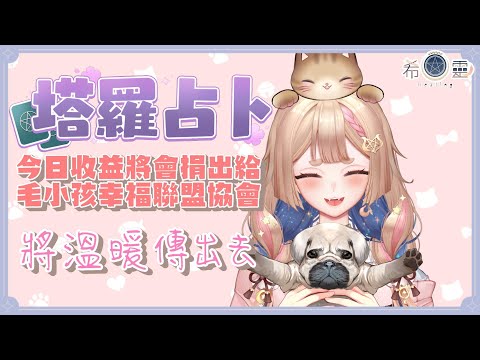 雜談占卜#66｜公益占卜今日收益將會捐給【毛小孩幸福聯盟協會】另有公益畫展消息🔮✨🦊【Healing希靈/VTuber】