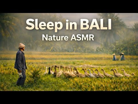 Sleep in Bali 🌾 ASMR • Nature sounds