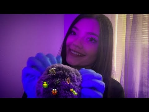 Searching for Bugs + Head Massage ASMR 🪲💆‍♀️🪳🕷️