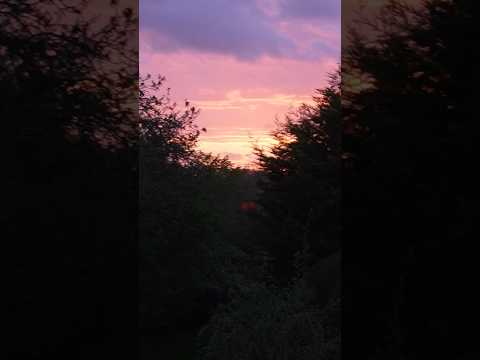 Ce genre de ciel 🌅✨ #sunset #speechless #naturebeauty #belgium #nofilter