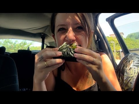 Petite pause repas chill dans ma voiture (cigales à gogo 🦗) -NON ASMR-