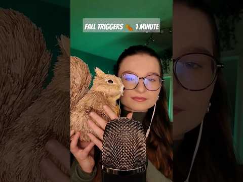 1 minute ASMR 🍂 FALL Edition #asmr #tingling #asmrtriggers #relax #sleep #asmrsleep