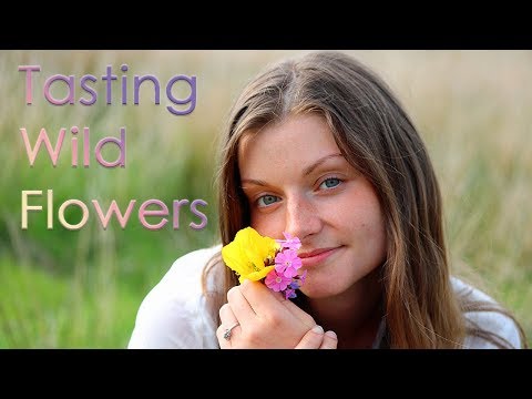 ASMR | 🌷🌼 Eating English Countryside Flowers 🌸🌻