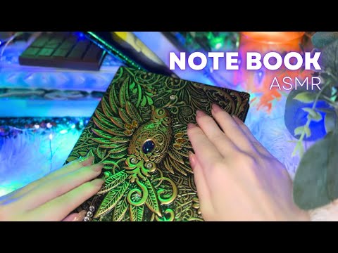 ASMR Calm & Cozy BOOK📚Tapping & Scratching🌟(No talking,No mouth sounds)