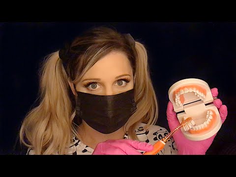 ASMR Dentist RP {Soft Spoken}