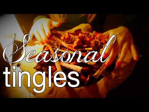 Sleepy Seasonal ASMR ✺ Cosy Trinaural Tingles