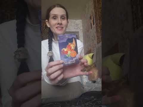 Расклад Таро на год по всем сферам. 😊💖
