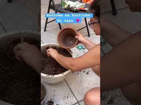 Dia de cuidados no jardim 🪴