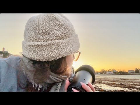 Early Morning ASMR at the Beach ☀️ 