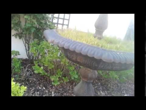 France visit - apartment and courtyard tour