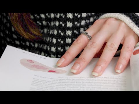 ASMR Unintelligible Whispering | Book | Page Turning