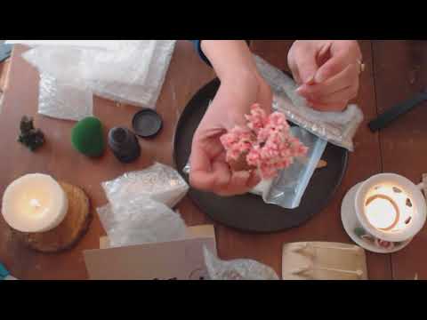 ASMR: ICNbuys Zen Garden