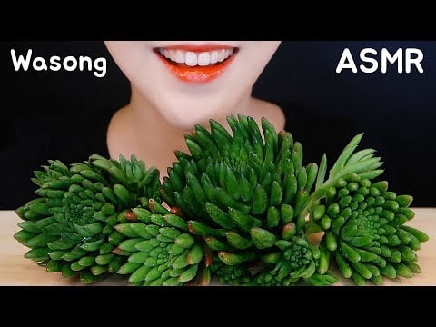 *CRUNCH* CURE ALL FOOD ASMR ROCK PINE SUPERFOODS ASMR EXOTIC FOOD ASMR VEGGIE MUKBANG NO TALKING