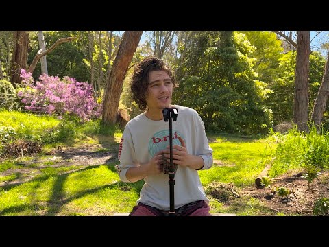 ASMR Outdoors | Softly Spoken, Sunny Afternoon [& Night Time] Ramble