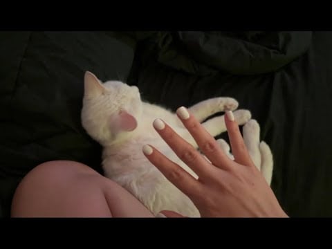 ASMR whisper ramble around my room  