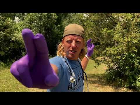 1 Minute ASMR | Fast and Chaotic Outside Cranial Nerve Exam