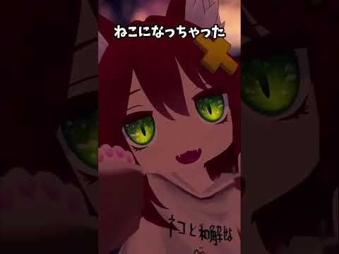 ねこになっちゃった