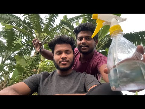 ASMR Head Massage 💆‍♂️ [ASMR Outdoor]