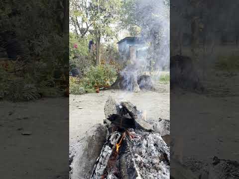 Sitting quietly and enjoying the bonfire with the chirping of birds..#asmr #swetaasmr