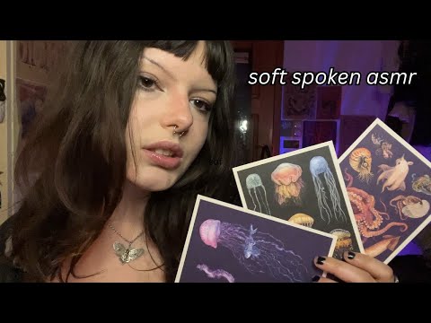 soft spoken ASMR | cozy show & tell: tapping, tracing, gripping, etc.