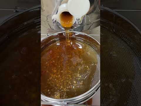 Extracting honey today. 🐝 #asmr