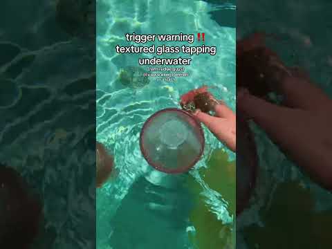 random asmr at the pool triggers #asmr #randomasmr #LofiASMR #PoolASMR #texturedglass #relax