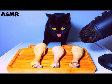 Cat eating chicken ASMR