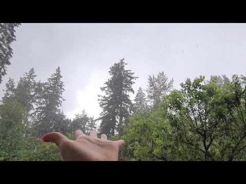 ASMR Camera Tapping During a Hail Thunderstorm | No Talking | Lo-fi