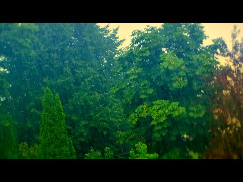 ASMR Heavy Rain on the windowsill