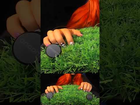 This Sound Is So Satisfying… 😍 | ASMRScratching (No Talking) #tingles #shorts #asmr