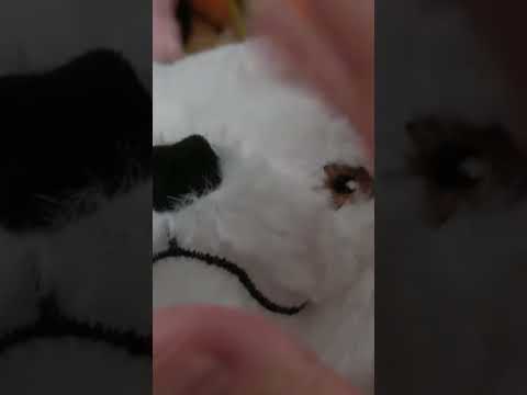 asmr stuffie pampering with wet mouth sounds